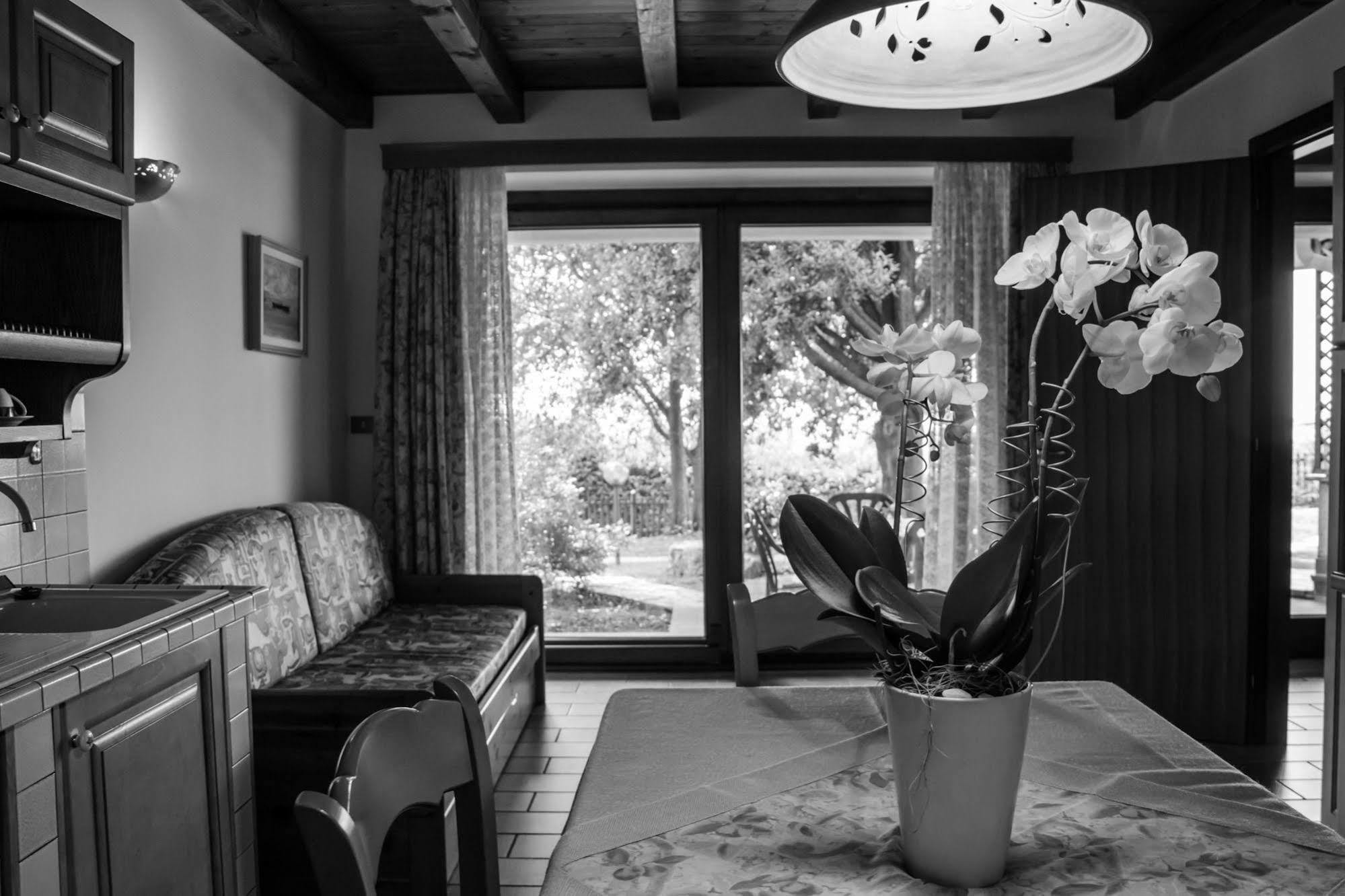 Terra Del Carso Villa San Pelagio Luaran gambar